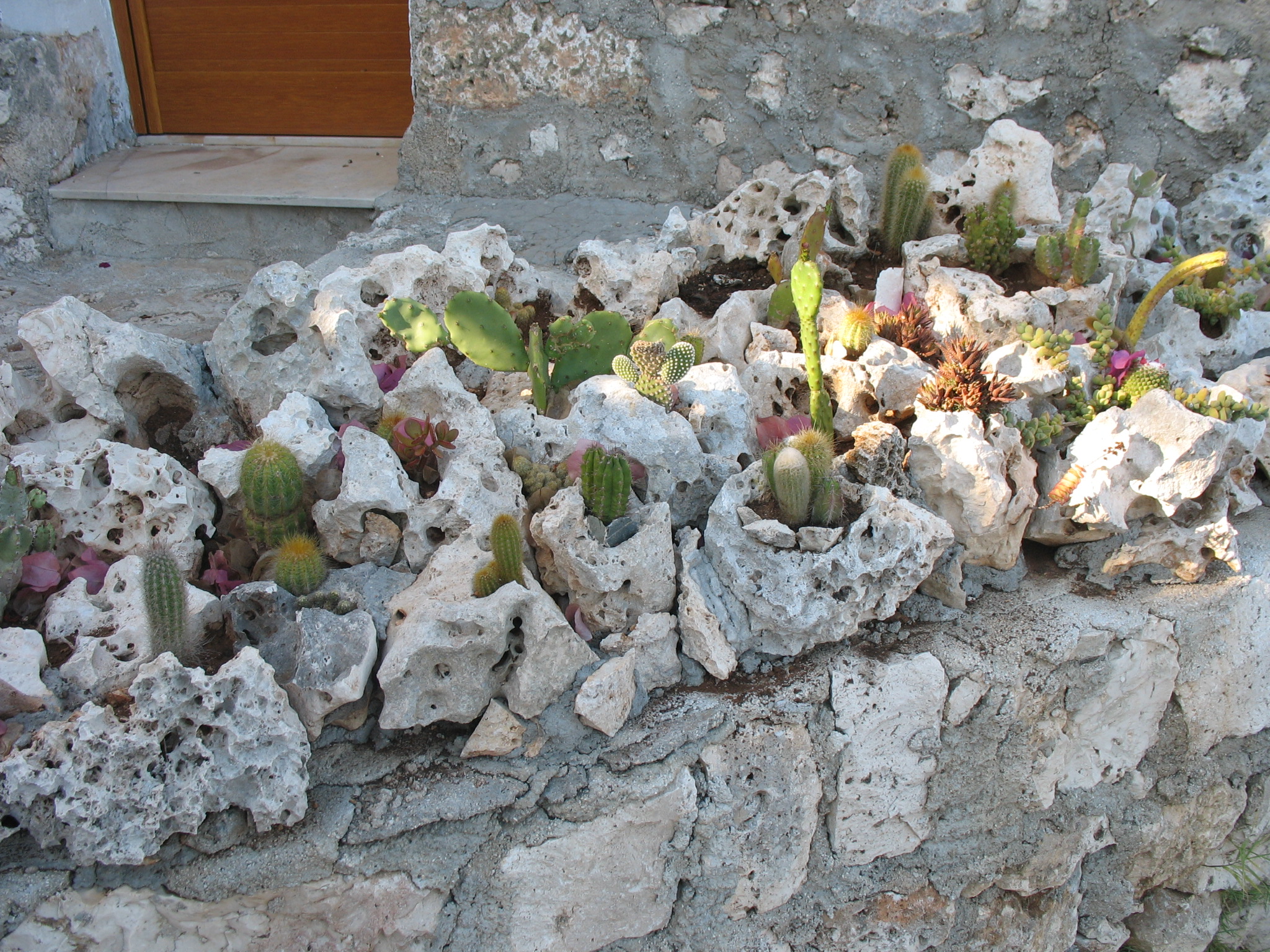 Aiuola Di Pietre E Succulente Garden It